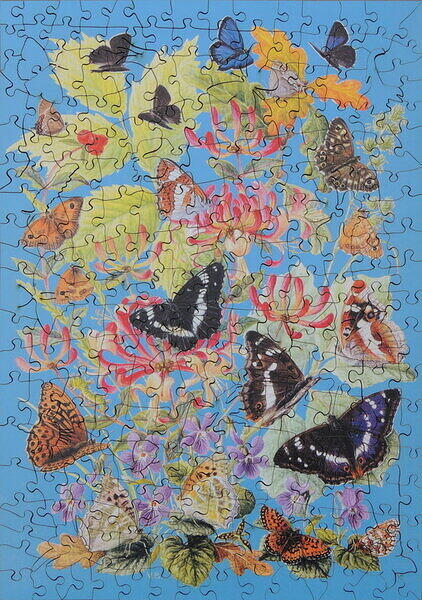 Woodland Butterflies.JPG