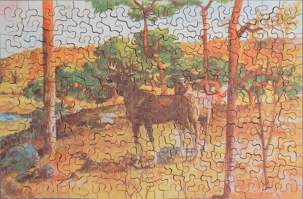 Puzzle (Custom)