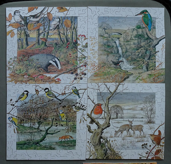 Four Months November - February, Meredith Worsfold Calendar Series