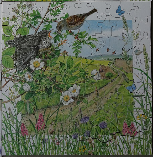 June 130pc Calendar Series 9x9in JA