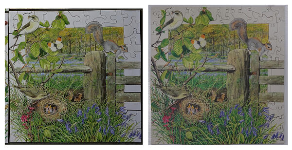 May Two Copies L 110pc, R No345 158pc
