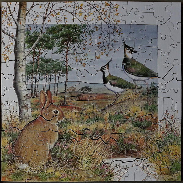 October 140pc No219 Calendar Series JA