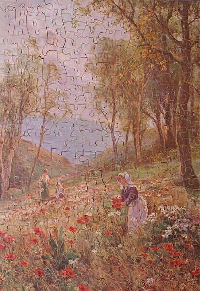 POPPIES.jpg