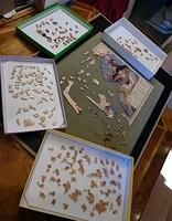 Puzzle 1 and Detail 2