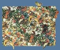 Bountiful Butterflies