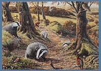 Badgers Dell