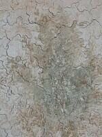 Detail 4