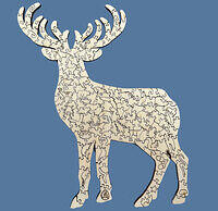 WhitetailDeer-Back