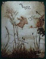 571pc Fairy Dancing on a Spiders Web by Arthur Rackham