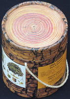 Tree Puzzle-Beech and Sycamore