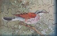 Puzzle (Custom)