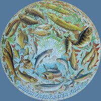 British Freshwater Fishes