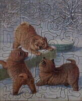 PUPPIES AT PLAY 001.jpg
