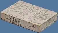 Box 2 (Custom)