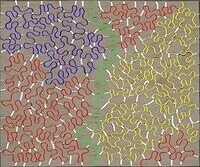 Pattern (Large)