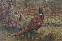 PHEASANTS (B).jpg