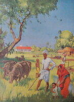 On an Indian Farm.JPG
