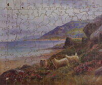 THE PASTURE BY THE SEA 001.jpg