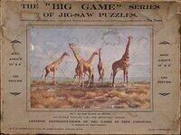 ON THE PLAINS OF KENYA (BOX).jpg