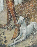 Whippet, The