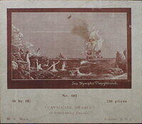 SEA NYMPHS PLAYGROUND (LABEL).jpg
