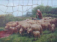 SHEEP IN THE FOLD 001.jpg