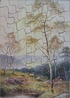 Puzzle (Custom)