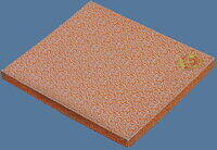 guepier (Box 2).JPG