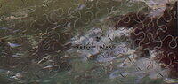 PUFFINS SIGNATURE.jpg