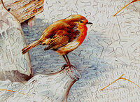 The Robin (Detail 1).jpg