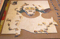 Sir Walter Raleigh-in pieces  3.jpg