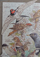 Detail 3