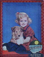 OUR PETS 001.jpg