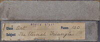 THE ETERNAL TRIANGLE LABEL.jpg