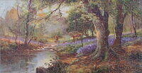 A FOREST GLADE .jpg