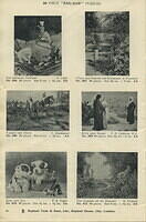 ZAG-ZAW CATALOGUE PAGE 36.jpg