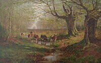 THE PATH THROUGH THE FOREST .jpg