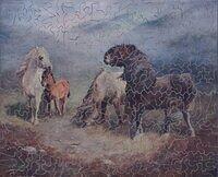 AT HOME IN THE SHETLANDS 2.JPG