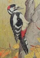 Detail 1