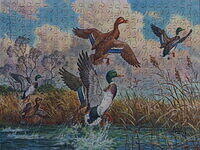 UNTITLED-DUCKS.jpg
