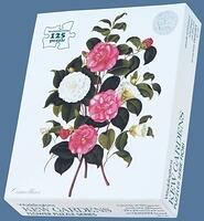 543CmBoxBl