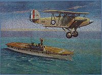 11. Aircraft Carrier