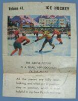 41. Ice Hockey