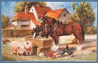 Design No. 181 (Animals & Horse Trough)