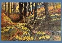 Untitled-Woodland Scene with Daffodils