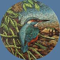 Kingfisher
