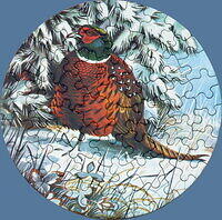 Pheasant