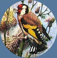 Goldfinch