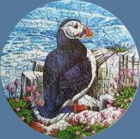 Puffin.jpg