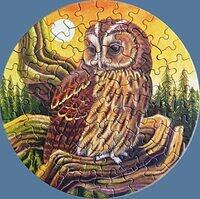 Tawny Owl